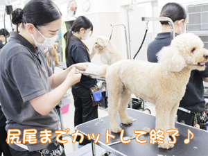 ２年生のトリミング実習♪